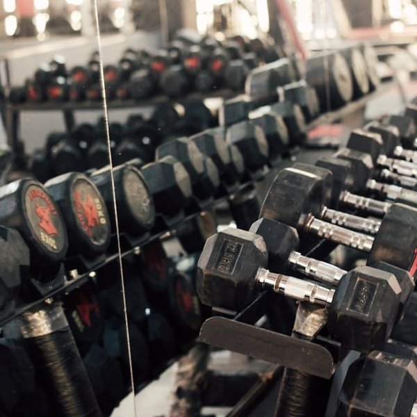 Quelles stratégies pour renforcer la présence en ligne d'une entreprise de fabrication de matériel de sport?